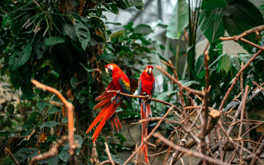 1755202 (a): :1920x1200